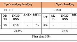 Đóng Bảo Hiểm Xã Hội Cho Người Lao Động Nước Ngoài