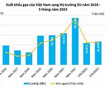 Giá Gạo Xuất Khẩu Sang Eu Hôm Nay