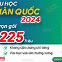 Trải Nghiệm Du Học Hè Hàn Quốc Tại Đà Nẵng 2024 Mới Nhất Youtube